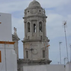Colon Cadiz